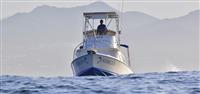31ft Bertram "REBECCA"